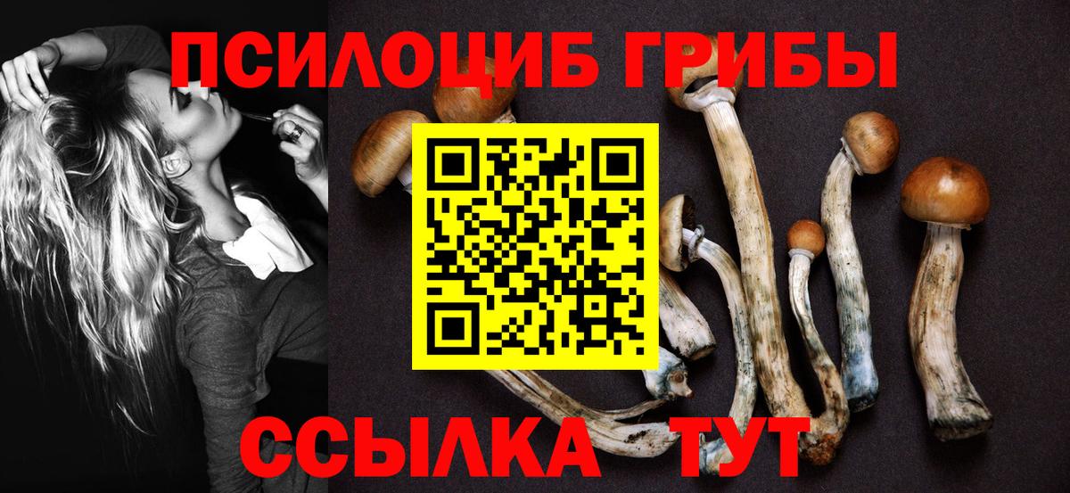 Псилоцибиновые грибы MAGIC MUSHROOMS Фурманов