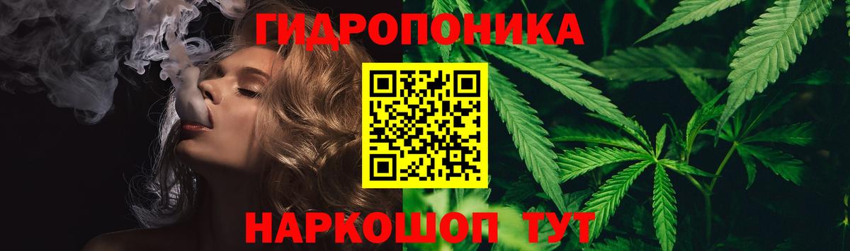 Канабис конопля  Вход с VPN  Фурманов  Бошки Шишки SATIVA & INDICA  Шишки марихуана семена 